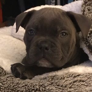 Meet your Posher, Mikki